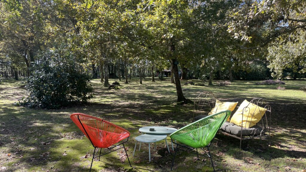 petitcaoule-piscine-chevaux-maison-location-landes-maison à louer-accueil chevaux-maison à louer avec piscine