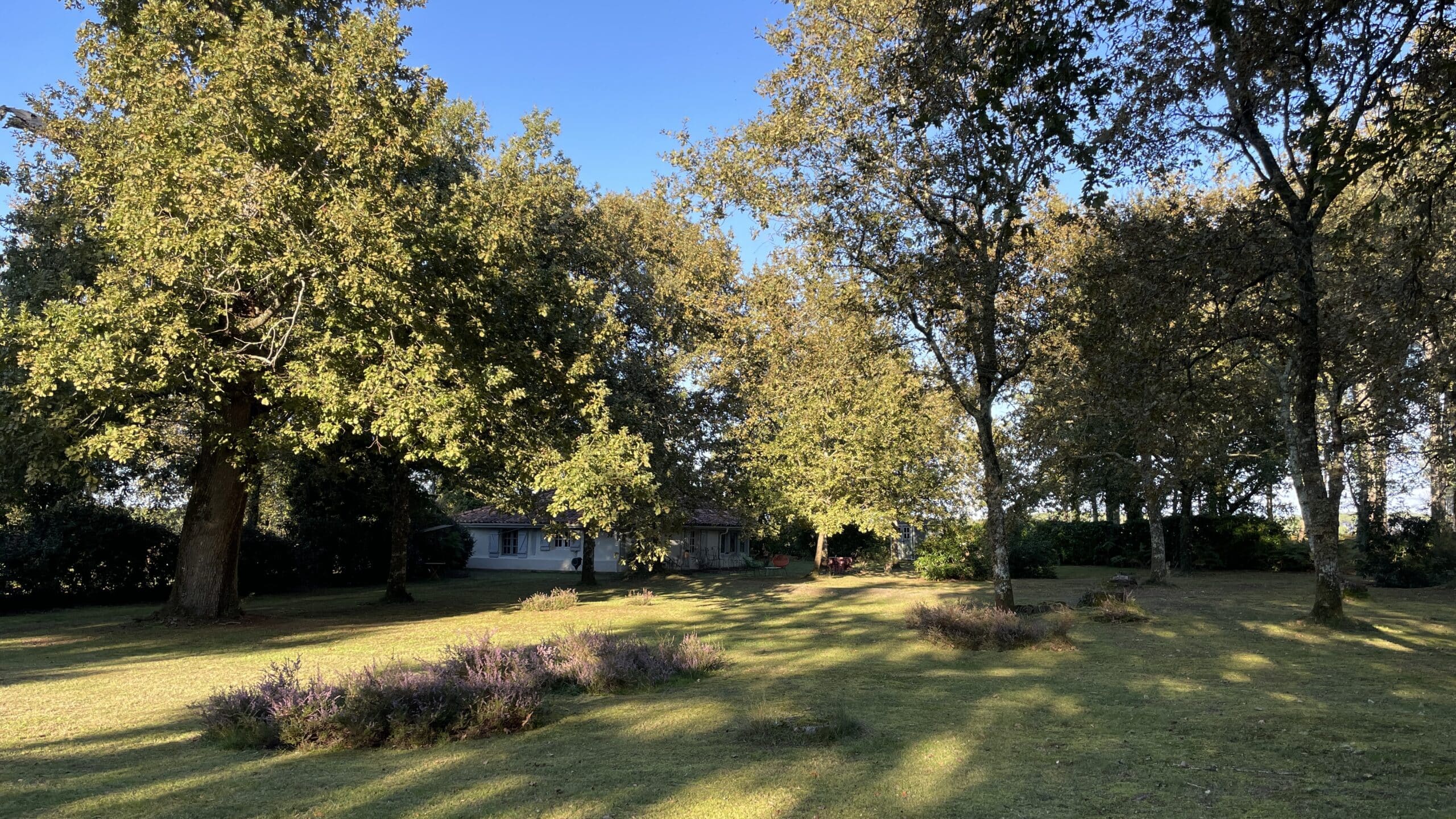 bergerie-petitcaoule-piscine-chevaux-maison-location-landes-maison à louer-accueil chevaux-maison à louer avec piscine